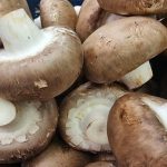 Ե՞րբ աղել սունկը տապակելիս՝ մի փոքր հնարք՝ շատ համով ye-rb-aghel-sunkeh-tapakelis-mi-phokhr-hnarkh-shat-hamov.jpg