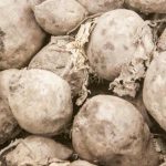 Երբ սովորական աղը ճակնդեղը փրկում է տհաճ ճակատագրից՝ նատրիումը՝ որպես քաղցրության բանալին yerb-sovorakan-agheh-tchakndegheh-phrkum-e-thatch-tchakatagric-natriumeh-orpes.jpg